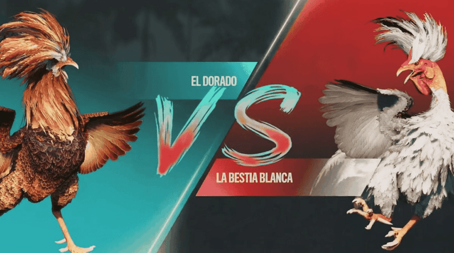2511bet Registro Online e E-Sports Online